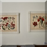 A14. Botanical prints. 
